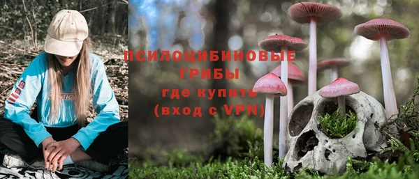 соль курить ск Нязепетровск