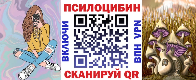 дарк нет клад  где продают   Кущёвская  Псилоцибиновые грибы мицелий 